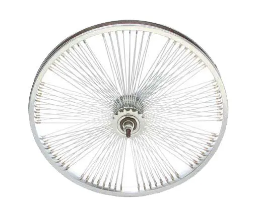 20" Fan Steel Coaster Bike Wheel 144 Spoke 1