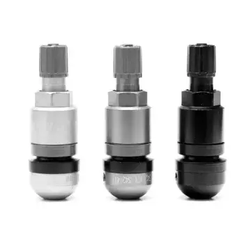 Apex Valve Stem 1