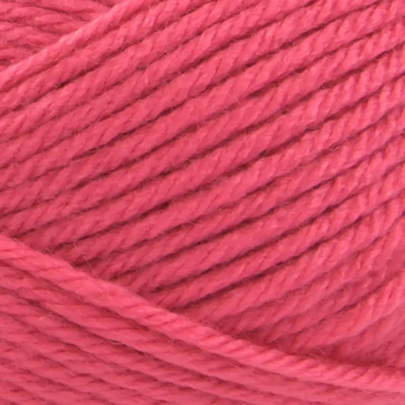 Basic Stitch™ Anti Pilling™ Yarn 39