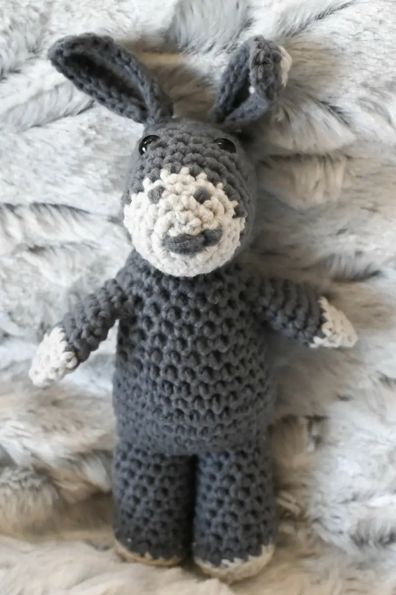 Bernardo Burro (Crochet) 1