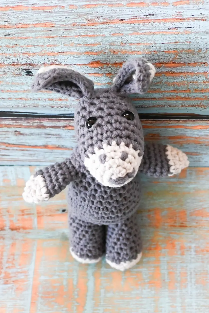 Bernardo Burro (Crochet) 2
