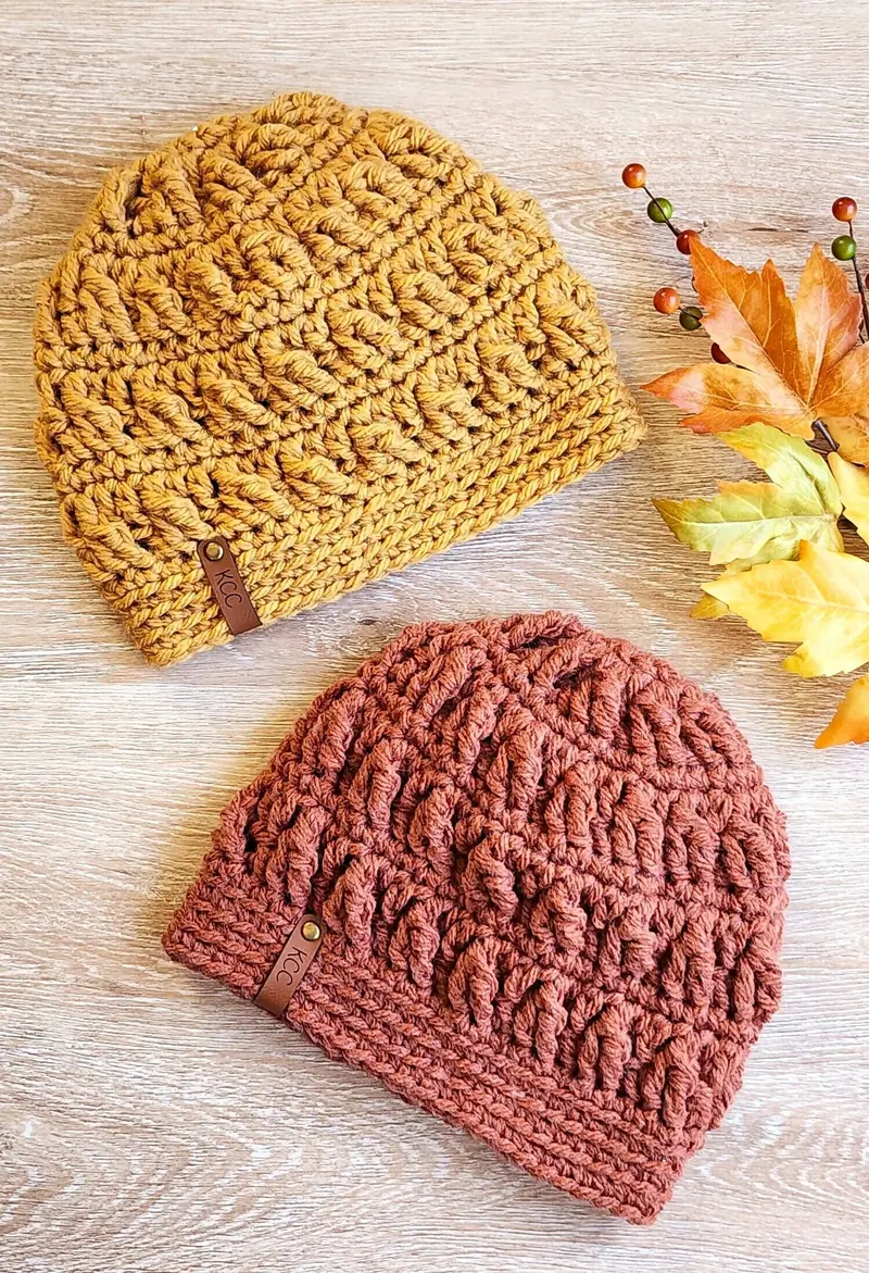 Canyon Ramble Beanie (Crochet) 1