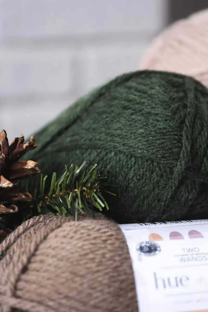 Color Stories - Hue + Me Yarn - Pinecone Dreams 1