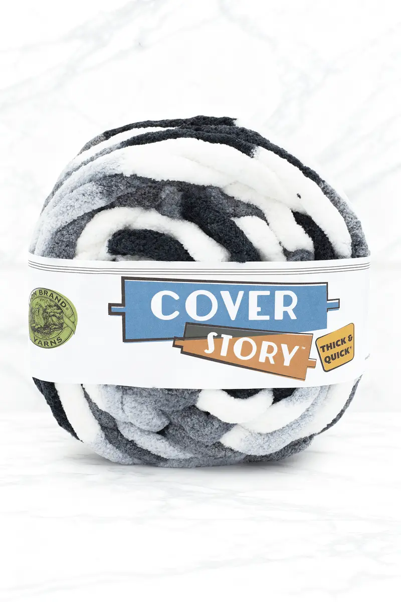Cover Story™ Thick & Quick® Yarn 1