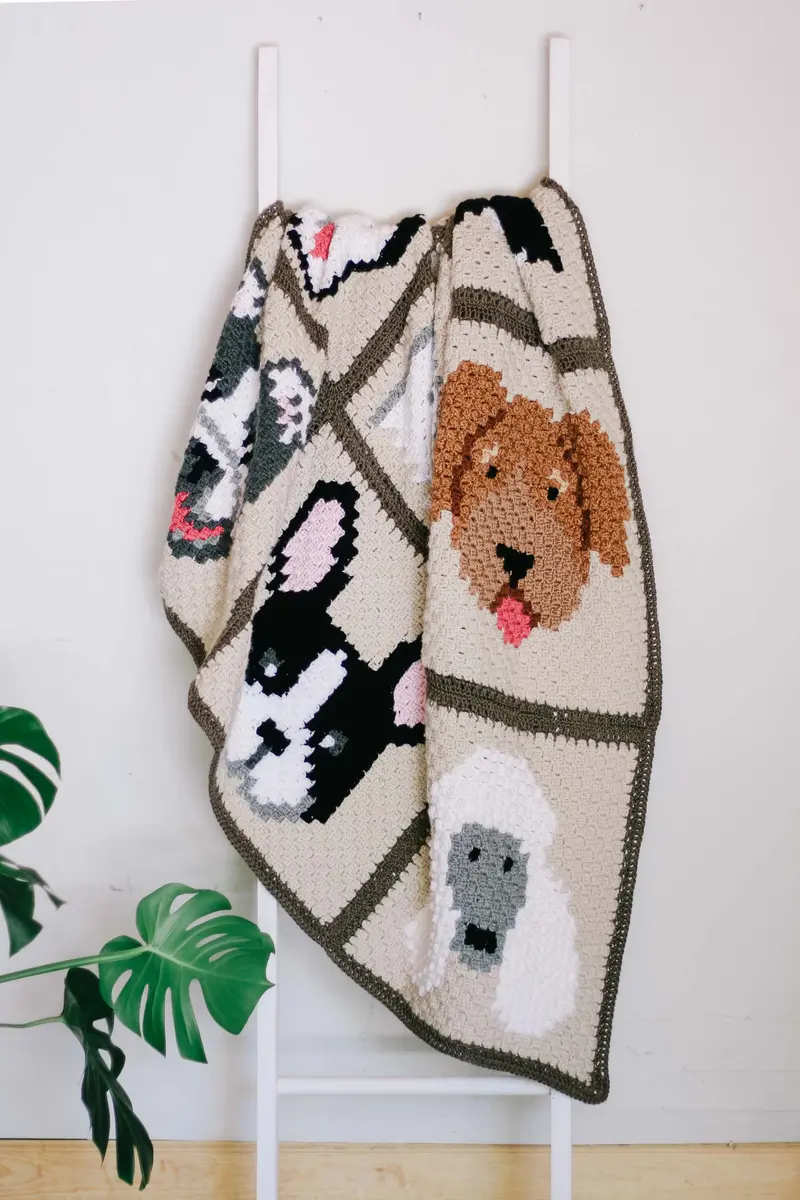 Crochet Kit - Best In Show C2c Blanket 1