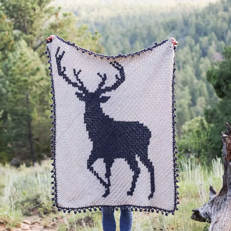 Crochet Kit - Buckhorn Blanket 2