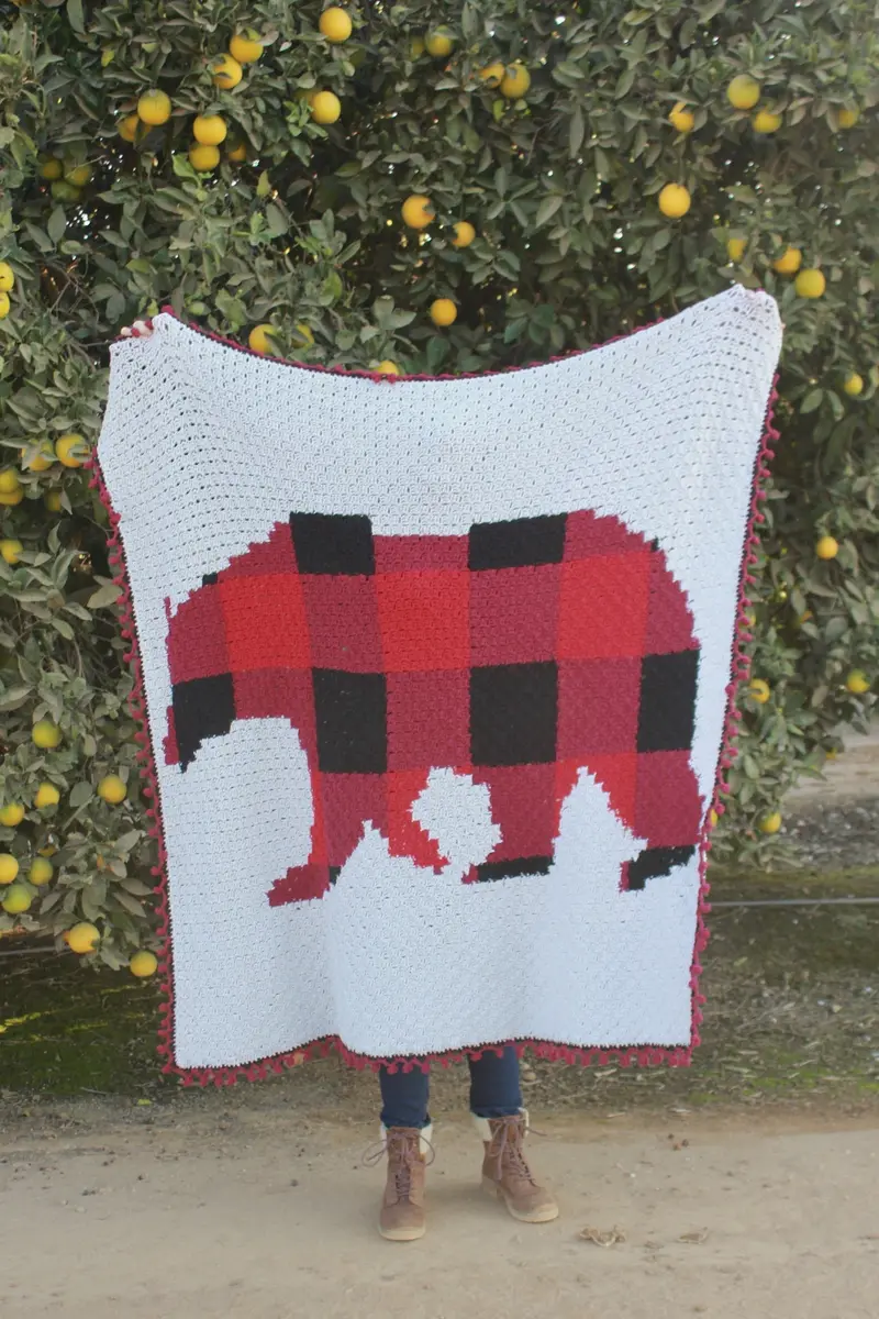 Crochet Kit - C2c Plaid Bear Blanket 1