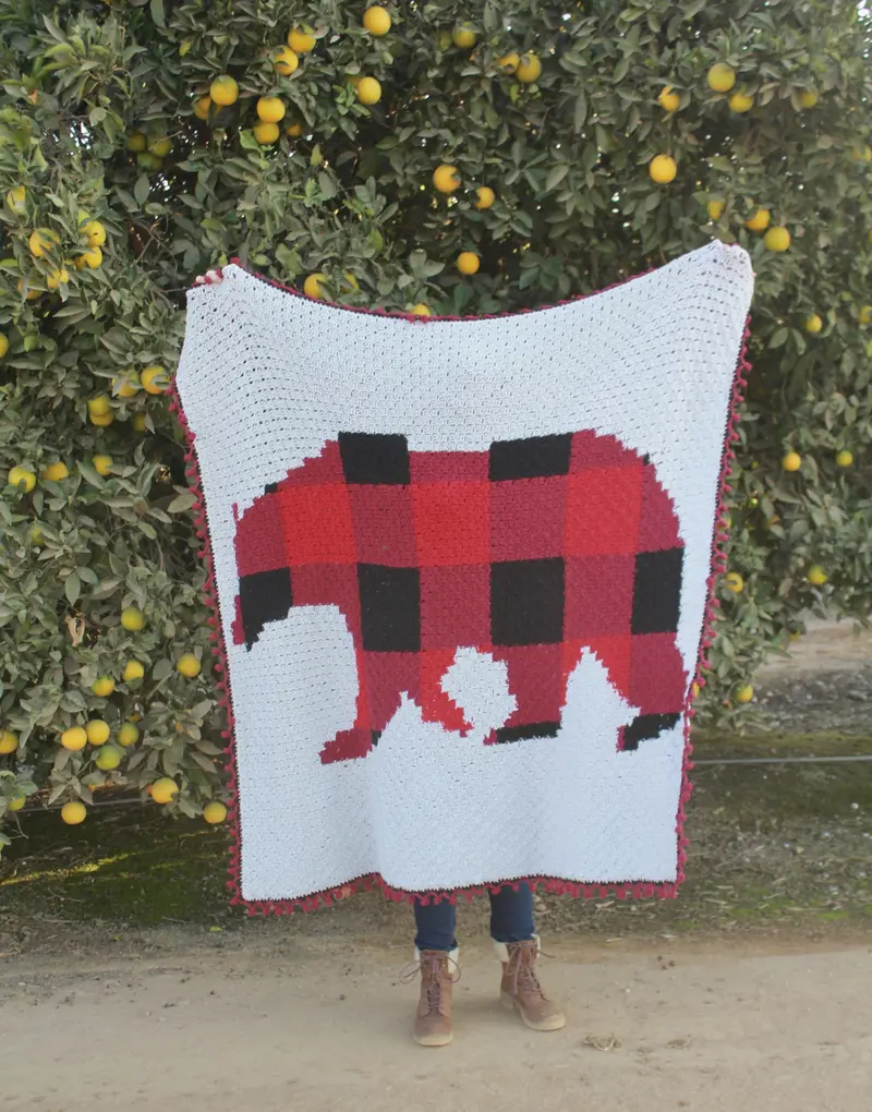 Crochet Kit - C2c Plaid Bear Blanket 2