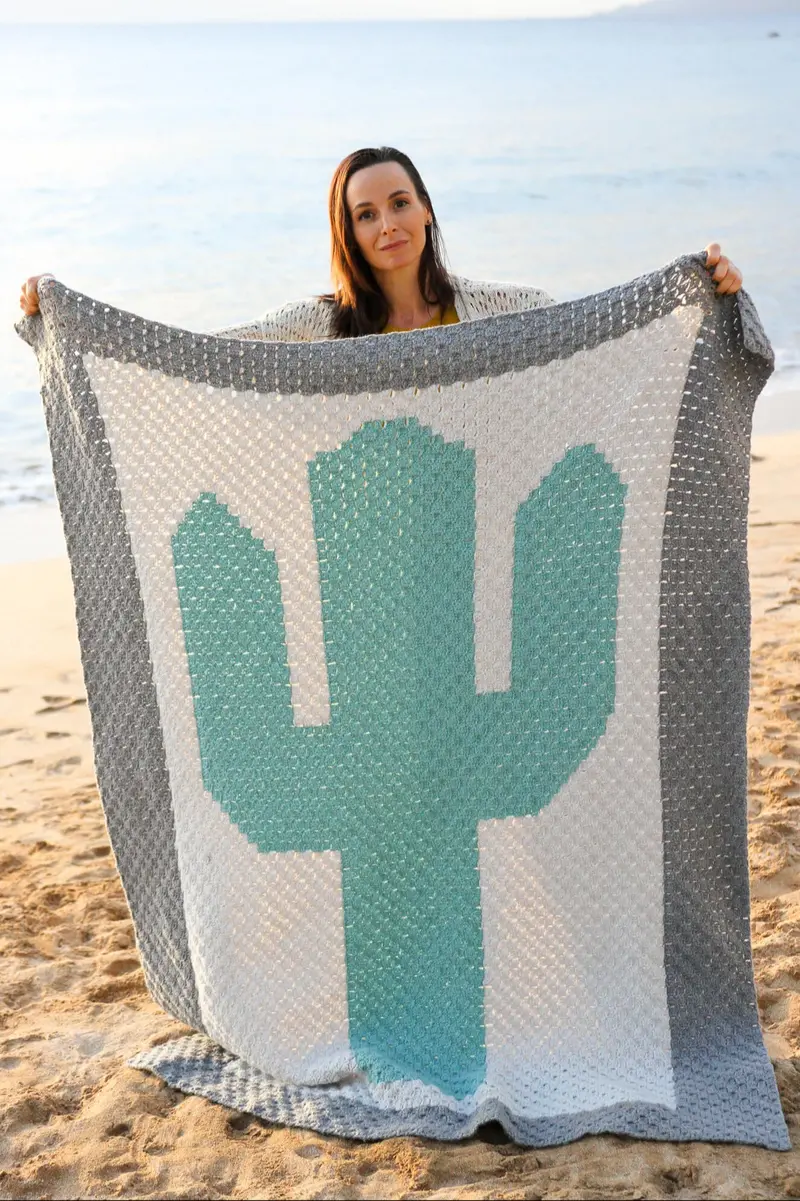 Crochet Kit - Cactus Blanket 1