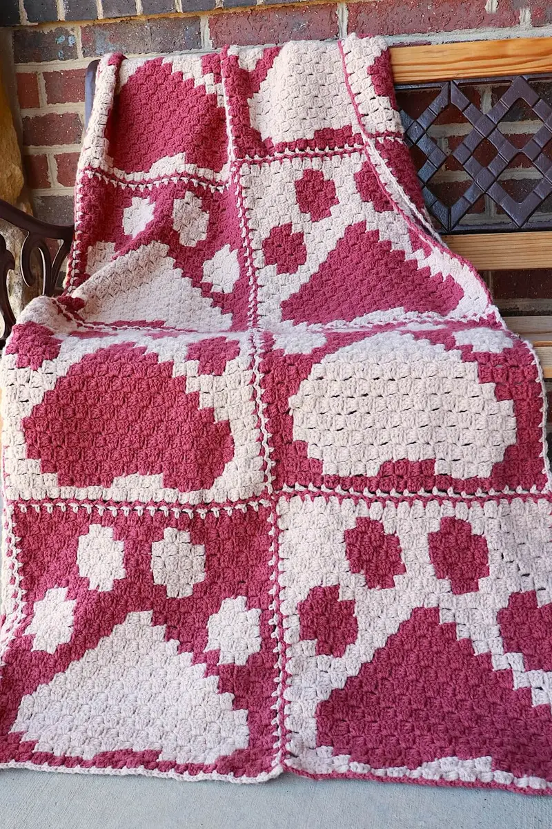 Crochet Kit - Cute Paw Print C2c Blanket 1
