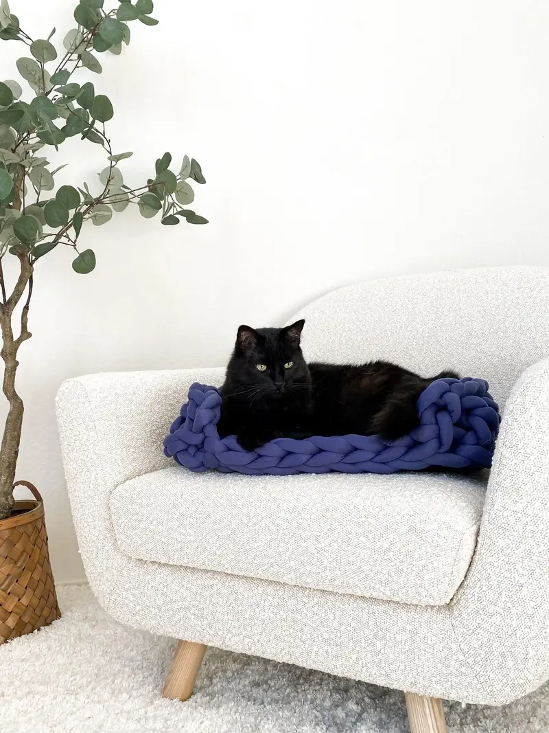 Crochet Kit - Furever Cozy Pet Bed 2