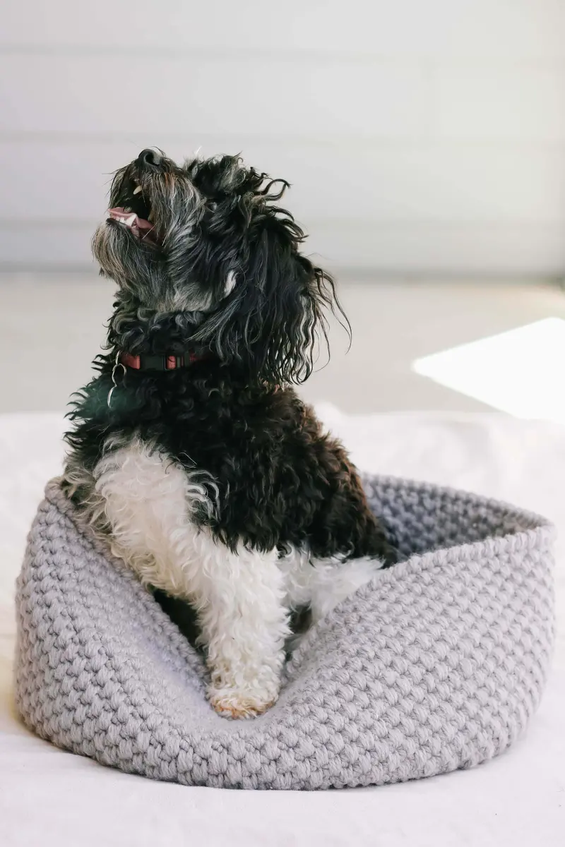 Crochet Kit - Harbor Pet Bed 1