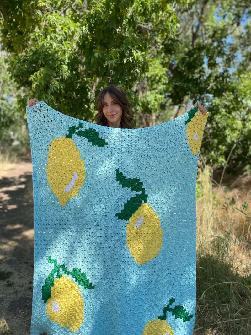 Crochet Kit - Squeeze The Day Throw 2