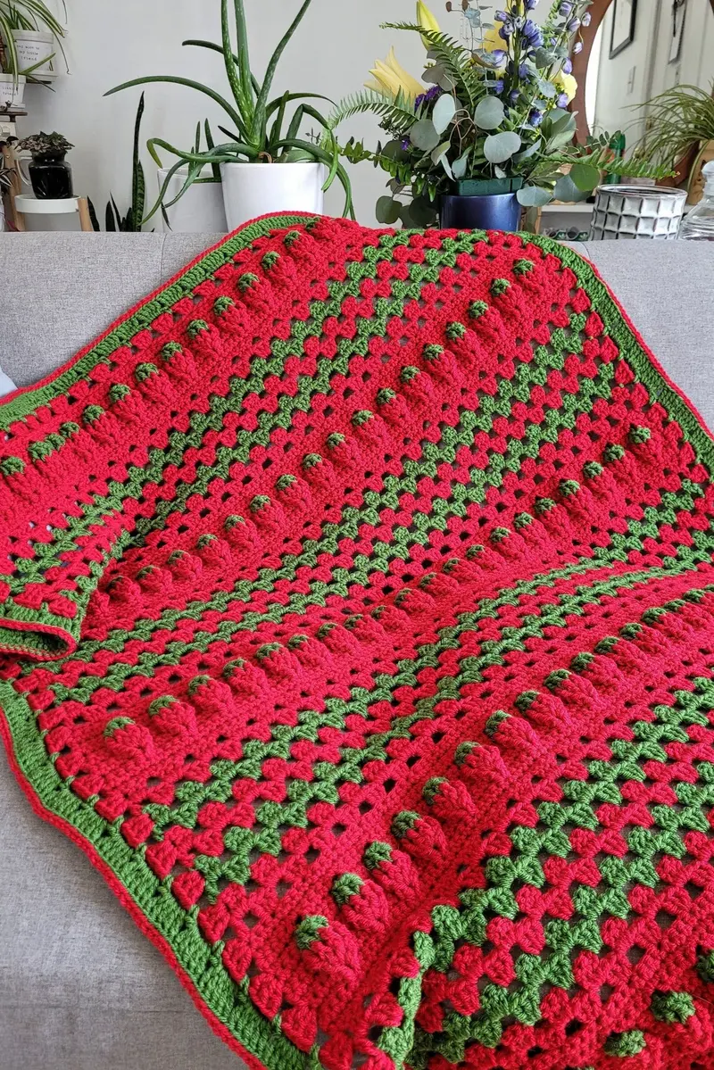Crochet Kit - Strawberry Sunshine Blanket 1