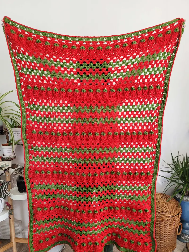 Crochet Kit - Strawberry Sunshine Blanket 2