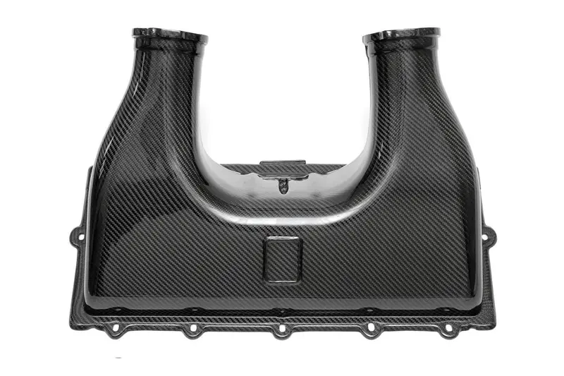 Fabspeed Ferrari 458 Italia Carbon Fiber Airbox Cover (2010-2015) 1