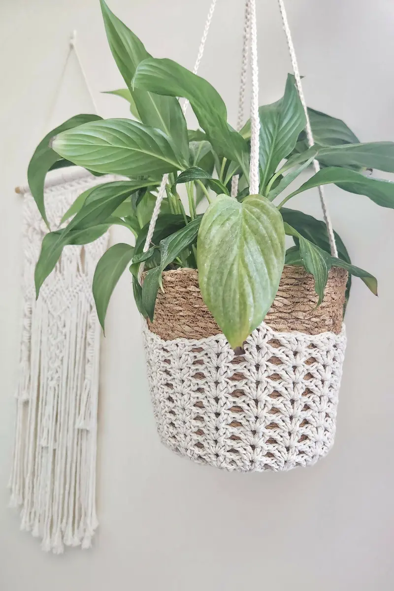 Iris Plant Hanger (Crochet) 1