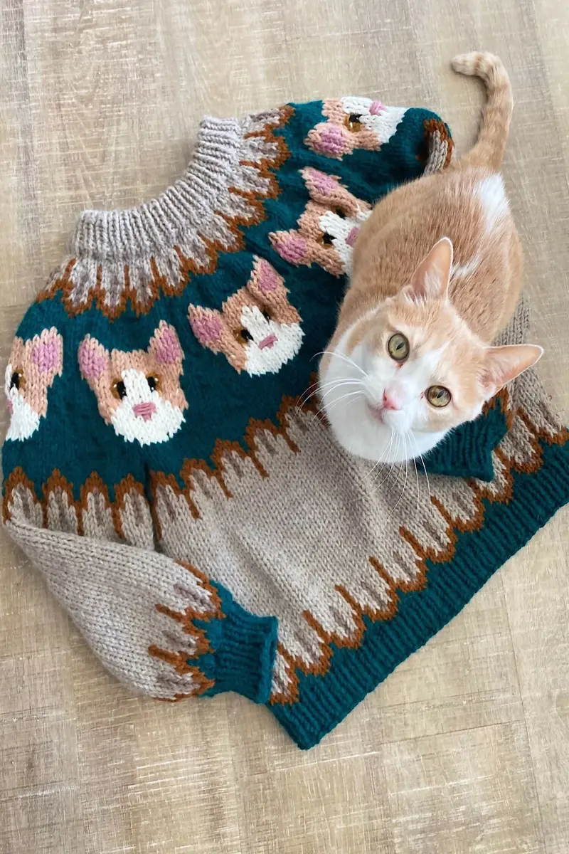 Kitty Cat Sweater (Knit) 1