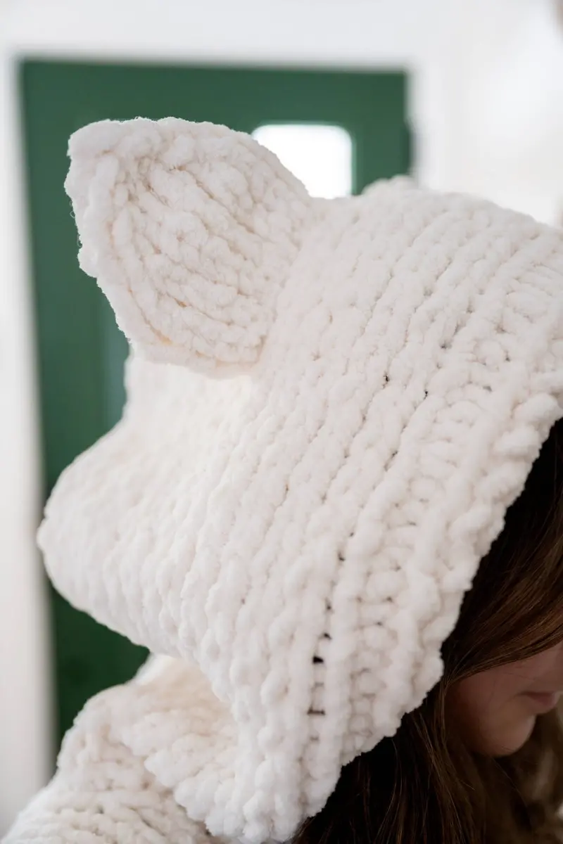 Knit Kit - Cozy Kitty Hoodie 2