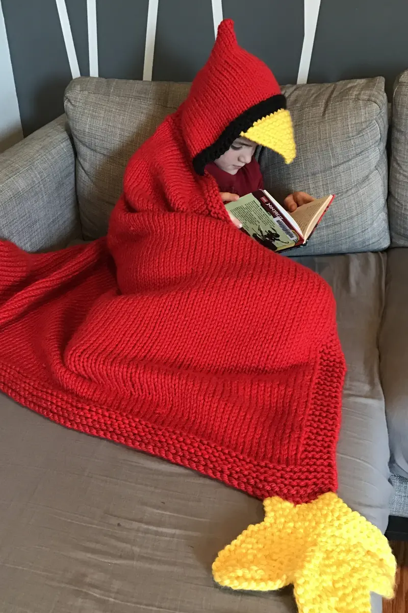 Knit Kit - Hooded Bird Blanket 1