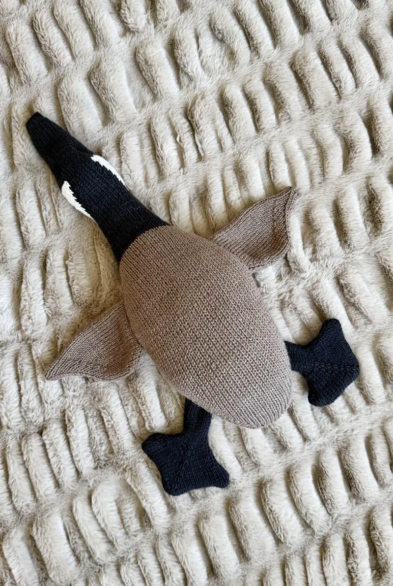 Knit Kit - Silly Canada Goose 1