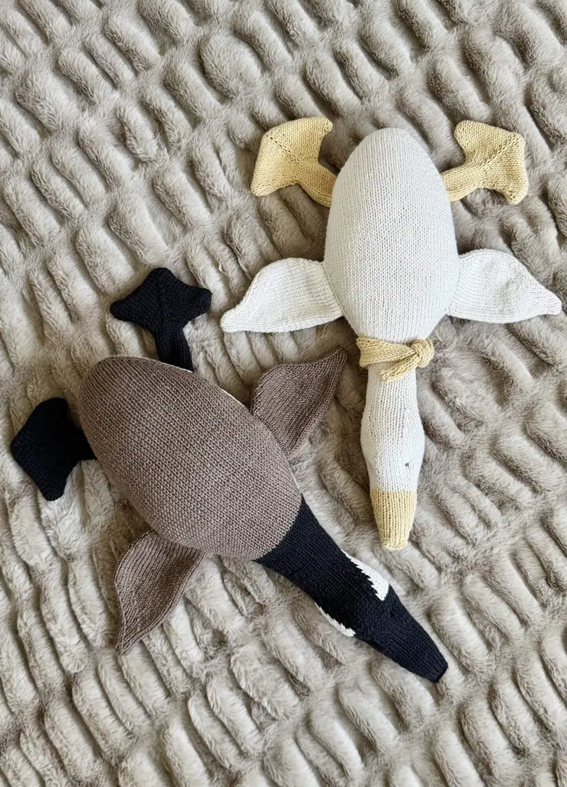 Knit Kit - Silly Goose 2