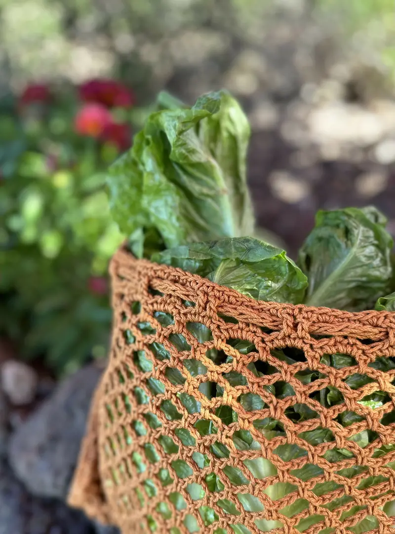 Medium Mesh Produce Book Ball Bag (Crochet) 1