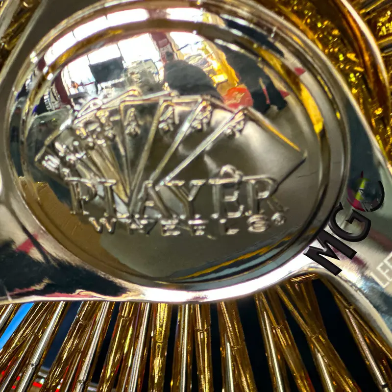 Player 22X8 - 150 Spoke All Gold Wire Wheels Standard 2
