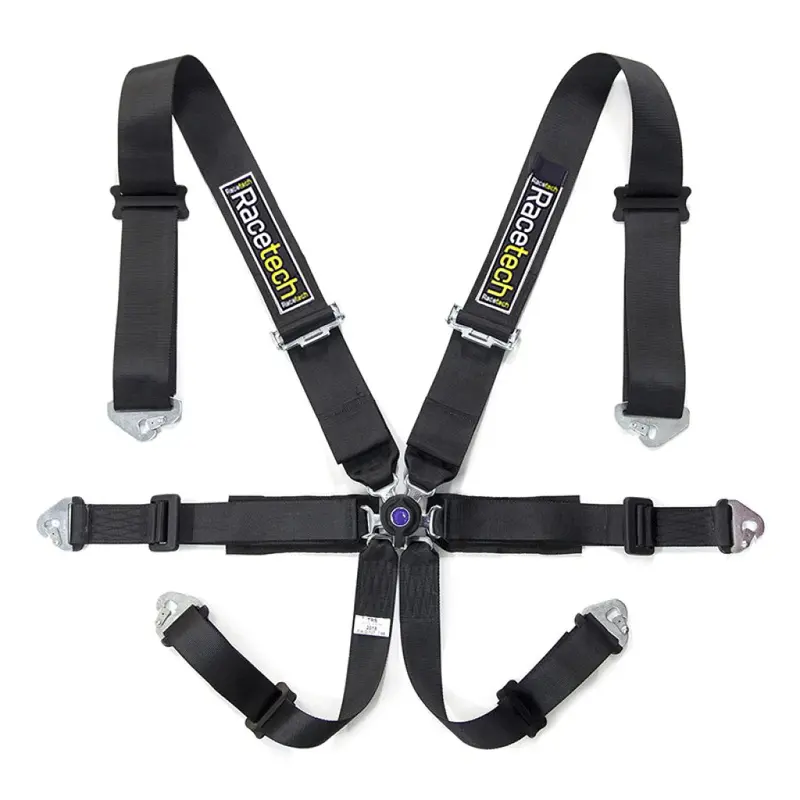 Racetech Pro 6-Point Harness 1