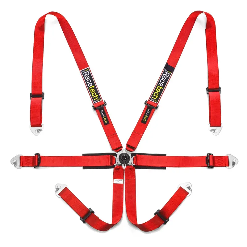 Racetech Pro International 6-Point Harness (Steel Adjusters) 3