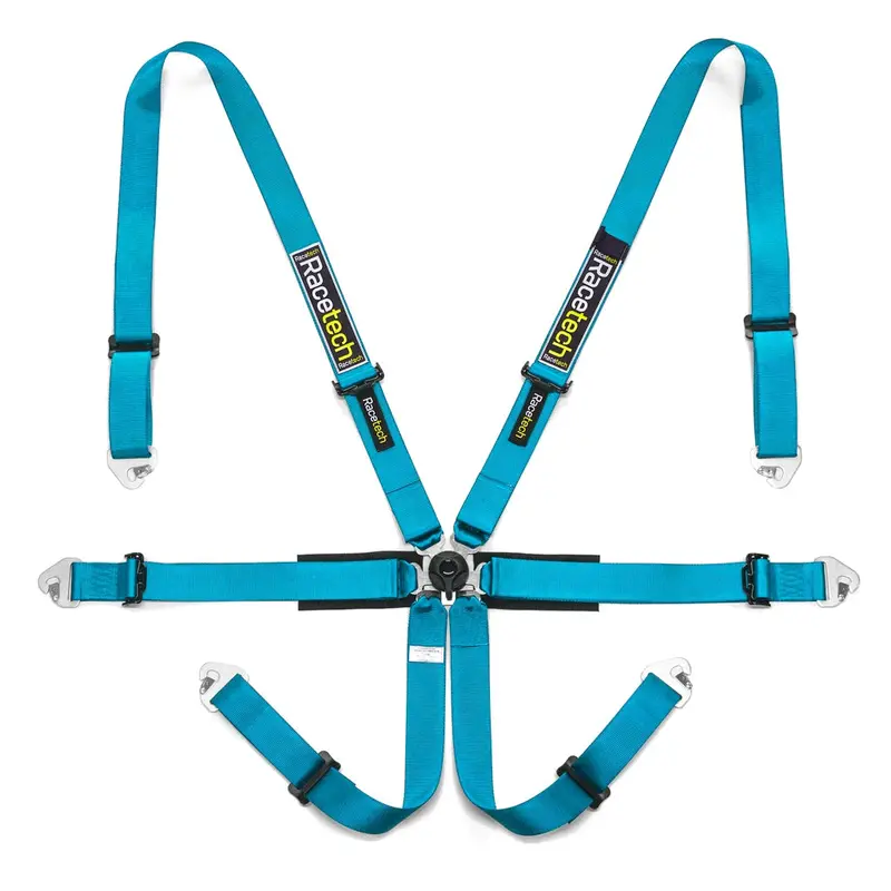 Racetech Pro International 6-Point Harness (Steel Adjusters) 4