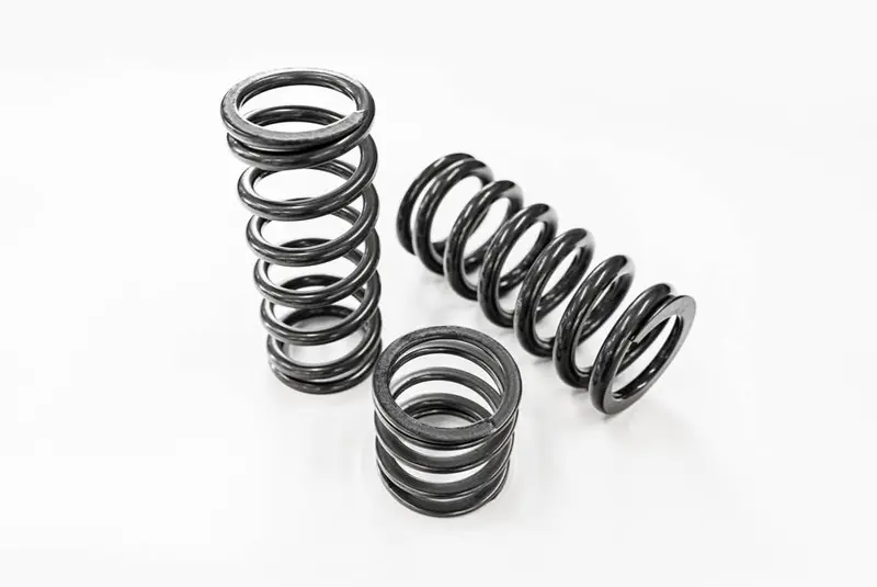 T5 T5.1 T6 Cobra 55Mm Lowering Springs 1