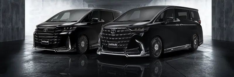 Wald Renovatio R21c 22" Monoblock For Toyota Alphard 40 & Vellfire 40 2